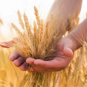 Agriculteur