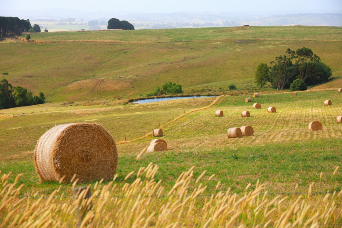 conseiller agricole