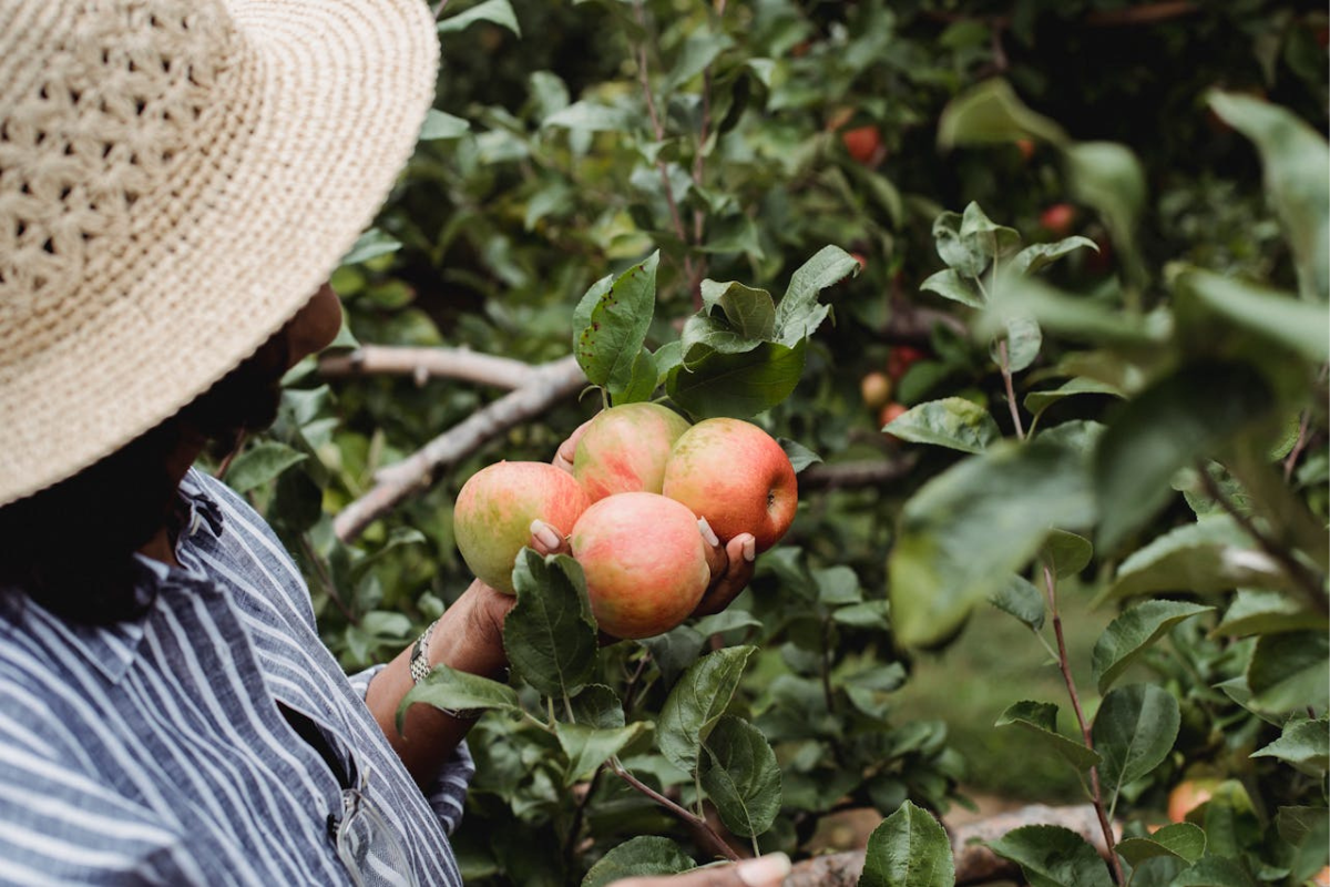 formation adulte agricole