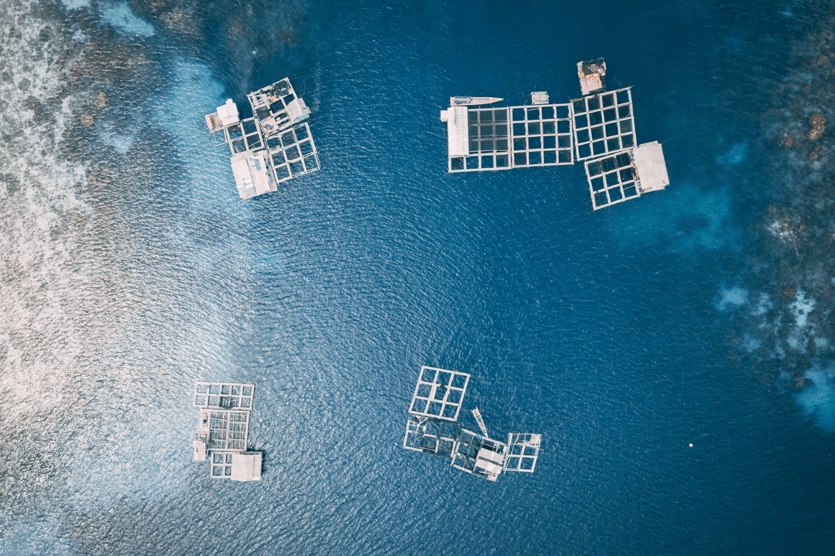 ingenieur aquaculture