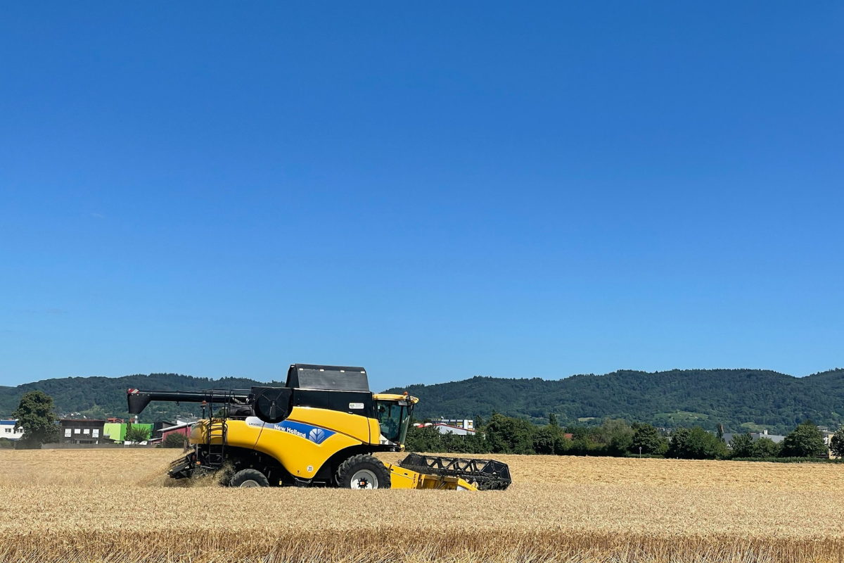 ingenieur génie rural