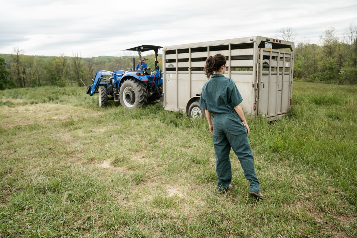 metier agriculteur bio
