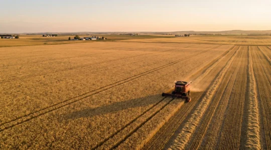 Vue aérienne d'une exploitation agricole en pleine moisson avec moissonneuse et équipe coordonnée